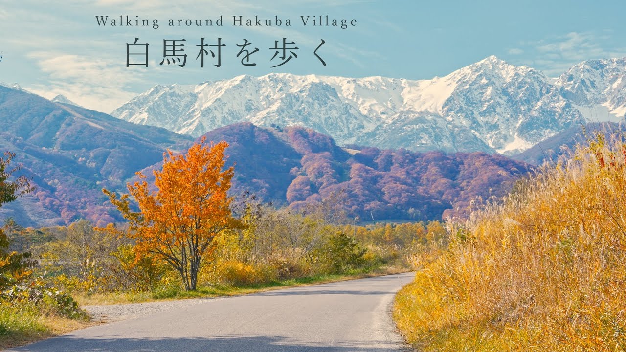 【まち歩き】白馬村のまるで童話みたいな景色を望む散策旅。三段紅葉など秋の彩を楽しむVlog。/Japan travel, Walking around Autumn Hakuba Village.