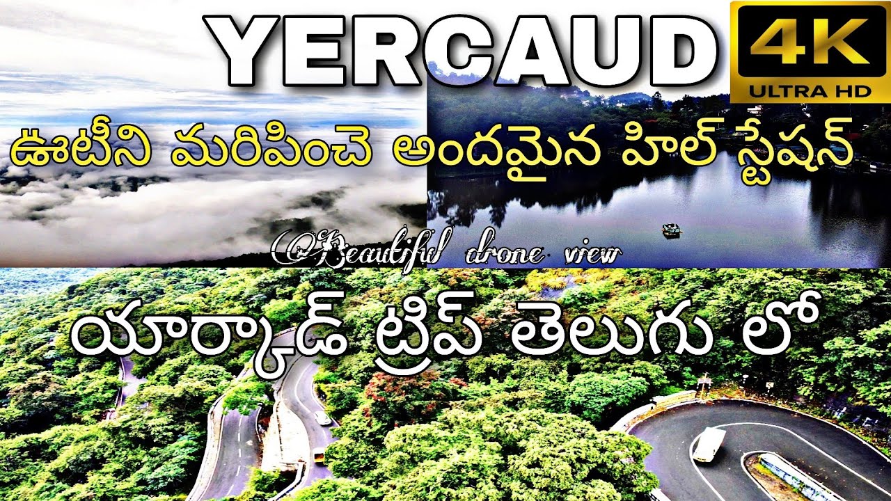 Yercaud trip in 4K | Yercaud Hill station Places to visit | #yercaud|Yercaud travel vlog in Telugu