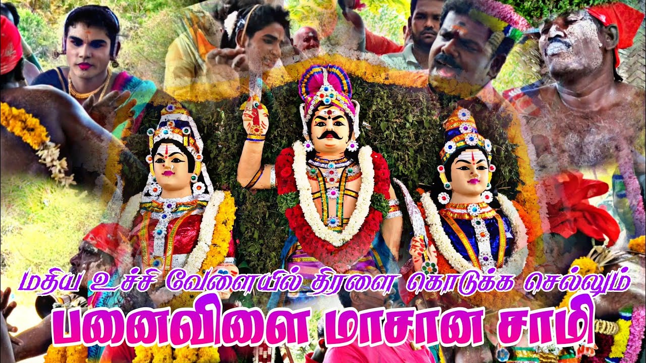 மதிய உச்சி வேளையில் திரளை கொடுக்க செல்லும் மாசானம் l பனைவிளை சீவலப்பேரி சுடலை கொடை விழா l RDS MEDIA 
