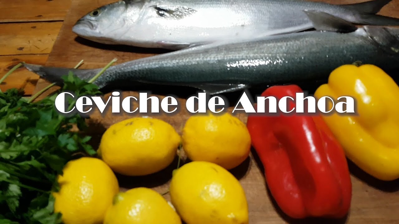 Ceviche de Anchoa - Minuto De Pesca - recetas