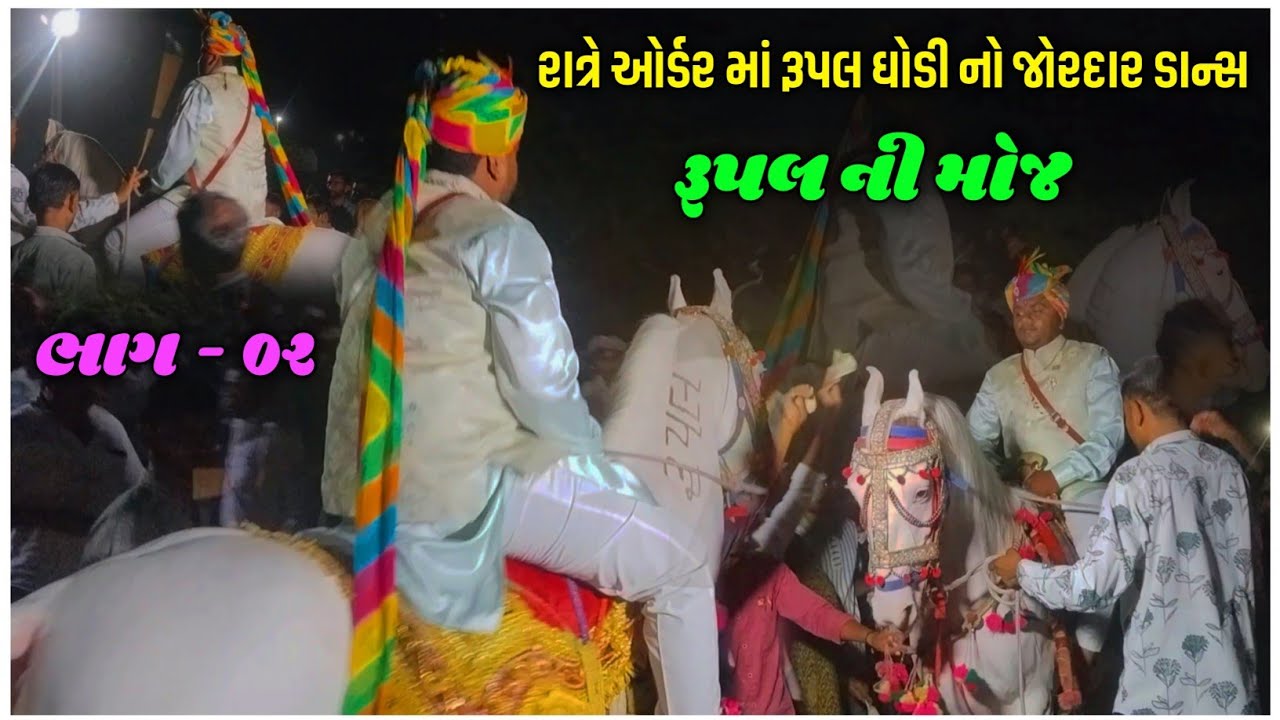 ( ભાગ-૦૨ ) નાઇટ વરઘોડા ના ઓર્ડર માં રૂપલ ઘોડી નો ડાન્સ વિડિઓ // રૂપલ ઘોડી રાનેર મો-7990028200 //
