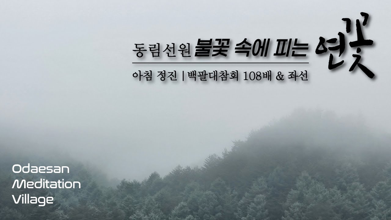 불꽃 속에 피는 연꽃 | 2026. 3.11. (수) 아침 정진 | 동림선원 대중 스님과 함께하는 백팔대참회문 정진 & 좌선 명상 | Meditation Daily Guided
