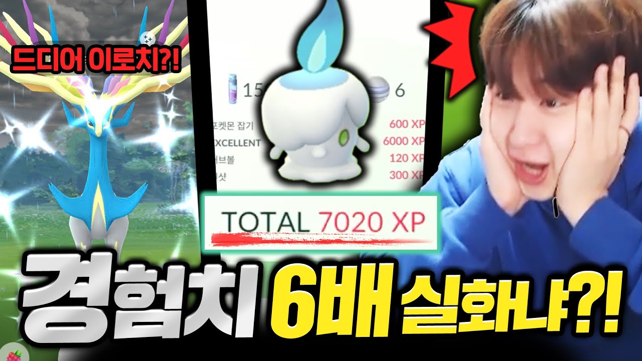 미쳤.. 포켓몬 한마리에 7000xp를 준다고?! 오늘 바로 폭렙하러 갑니다!!!🔥