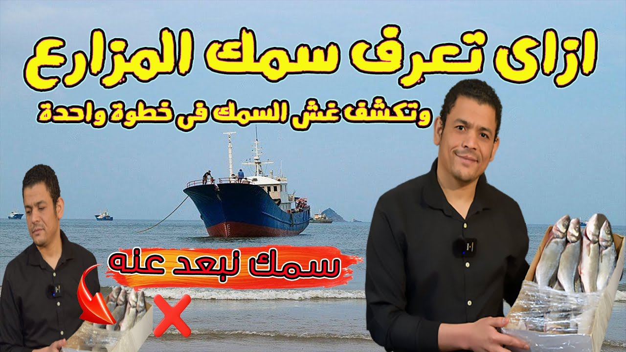 ازاي تعرف سمك المزارع من سمك البحر بخطوة بسيطة جدا !! 🐟 - افضل طريقة لطبخ السمك