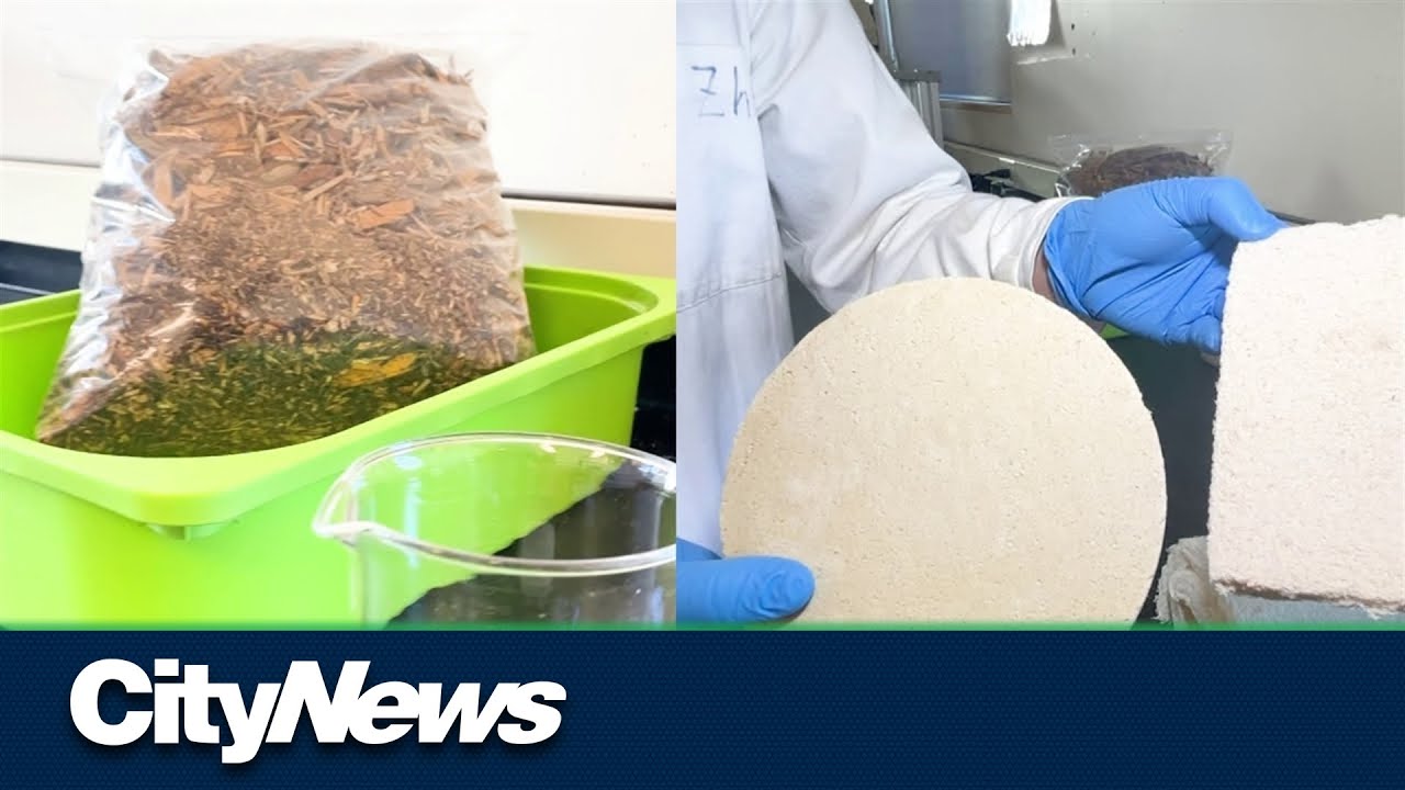 B.C. researchers to create new biodegradable packaging foam