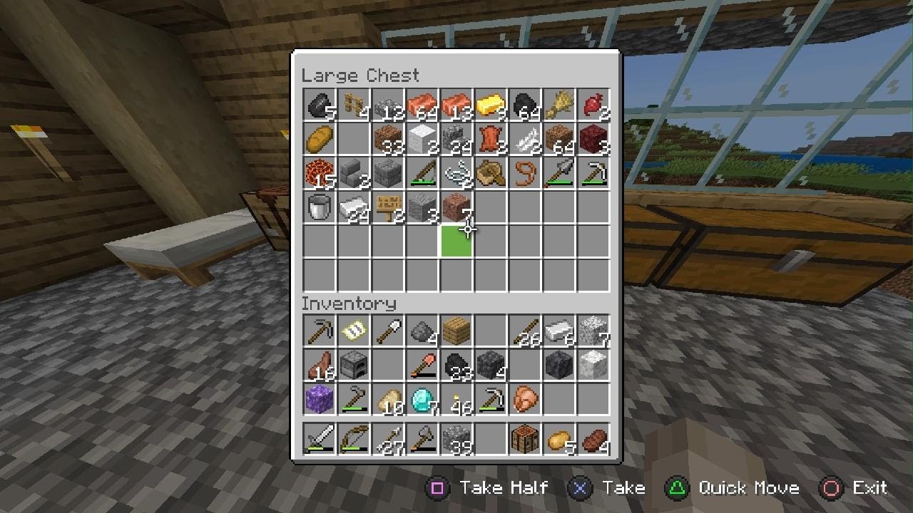 Minecraft_20260208020557