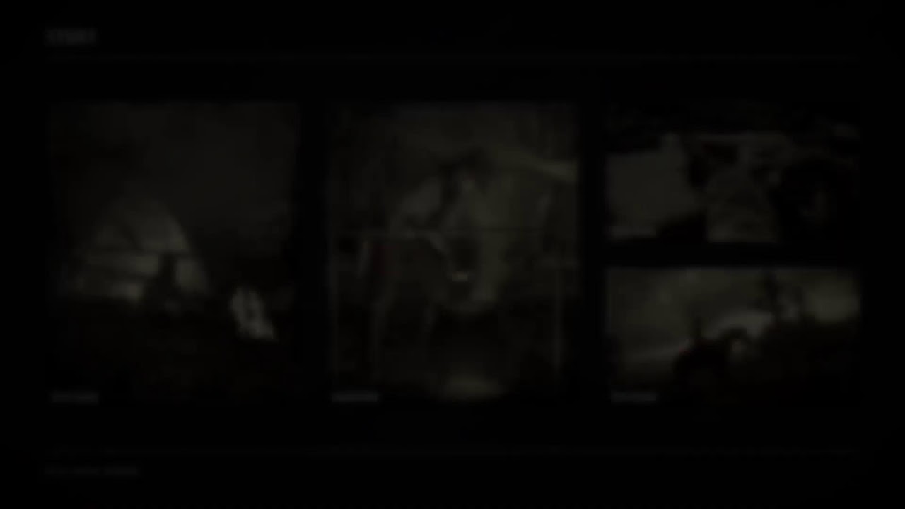 Red Dead Redemption 2 #27