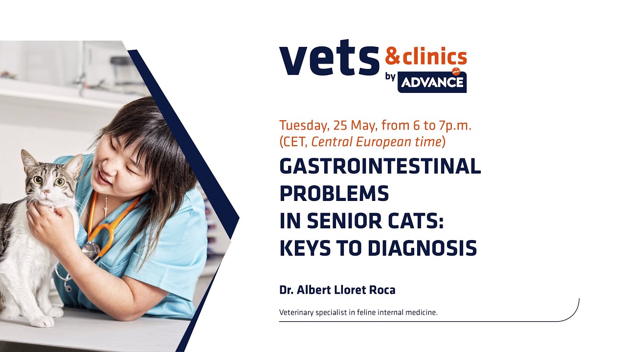 5. INT - Gastrointestinal problems in senior cats: Keys to diagnosis