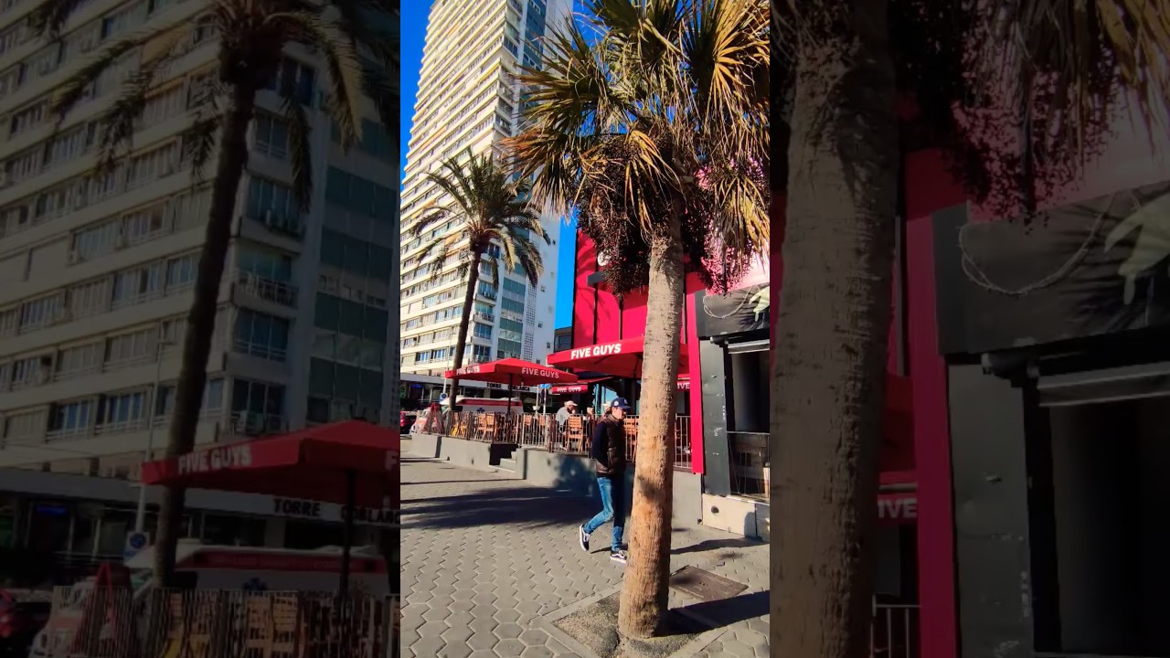 Benidorm January 2026 Levante Playa 