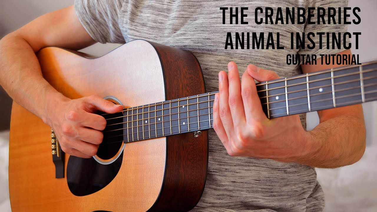 The Cranberries – Animal Instinct EASY Guitar Tutorial With Chords / Lyrics