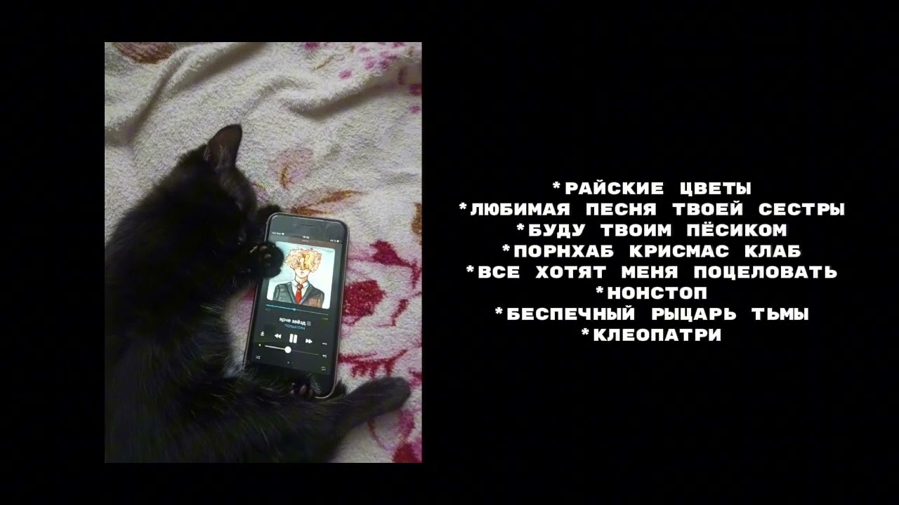 ПЛЕЙЛИСТ ПОШЛАЯ МОЛЛИ