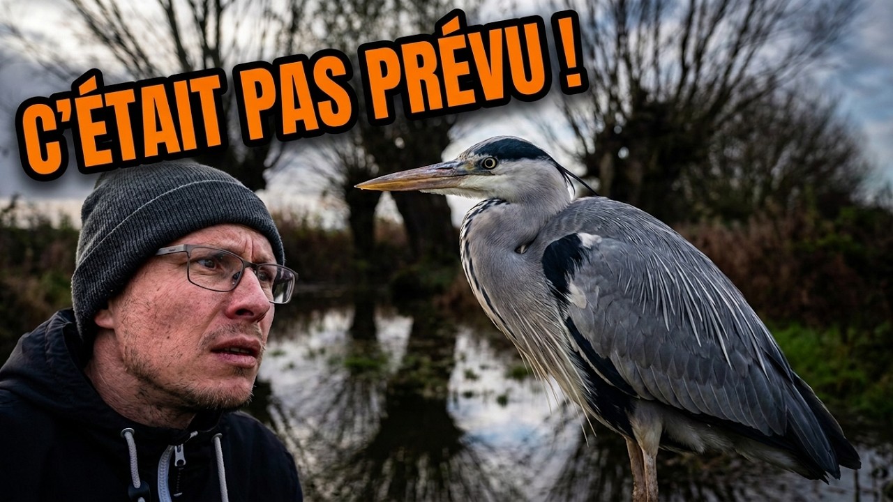 MARE : Je ne m’attendais pas à filmer ÇA !  (Caméra de Chasse)
