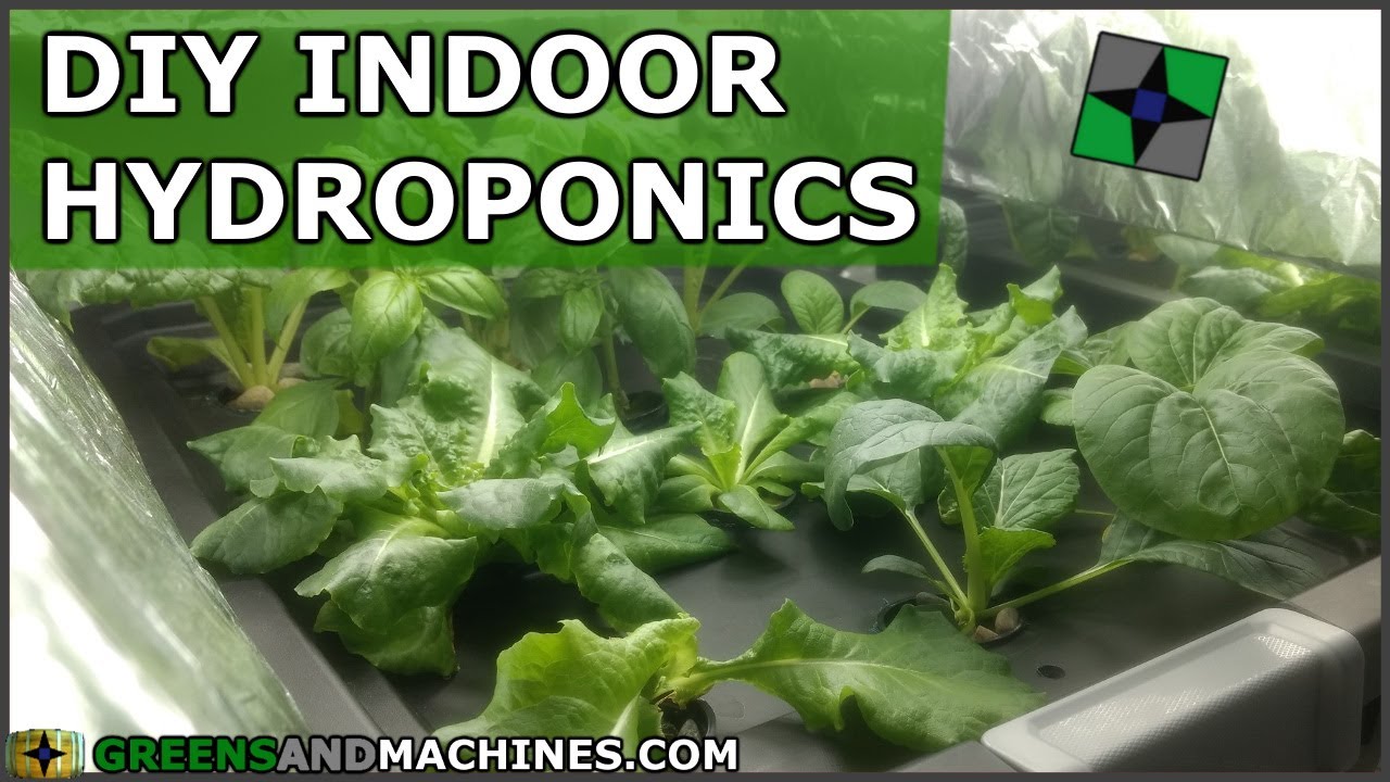 DIY Indoor Hydroponic System | Deep Water Culture DWC