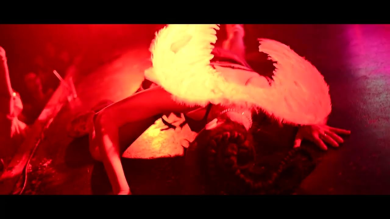 LOVE PARTY - ZOCO ♥♥