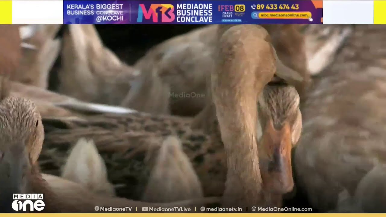 കേന്ദ്ര ബജറ്റിൽ ആലപ്പുഴയ്ക്കും ഒരു പ്രതീക്ഷ ഉണ്ടായിരുന്നു....