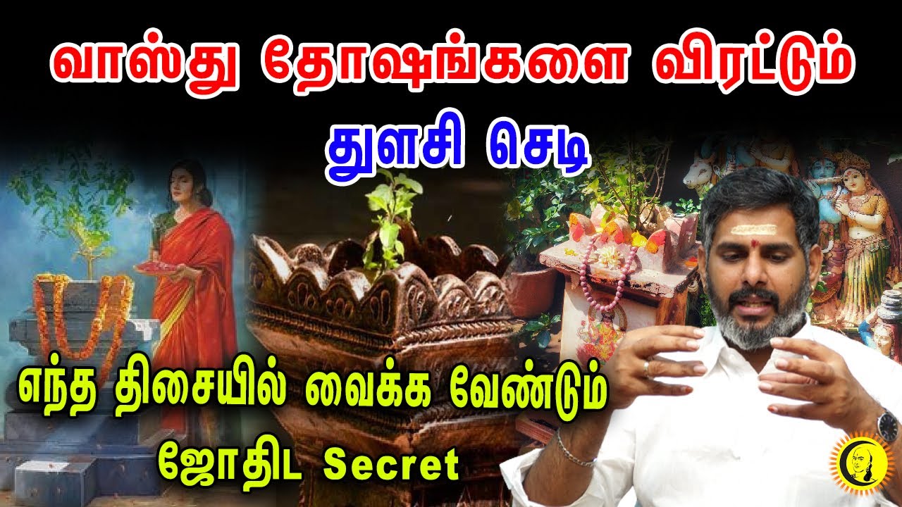 வாஸ்து தோஷங்களை விரட்டும் துளசி செடி | எந்த திசையில் வைக்க வேண்டும் | ஜோதிட Secret | Magesh Iyer