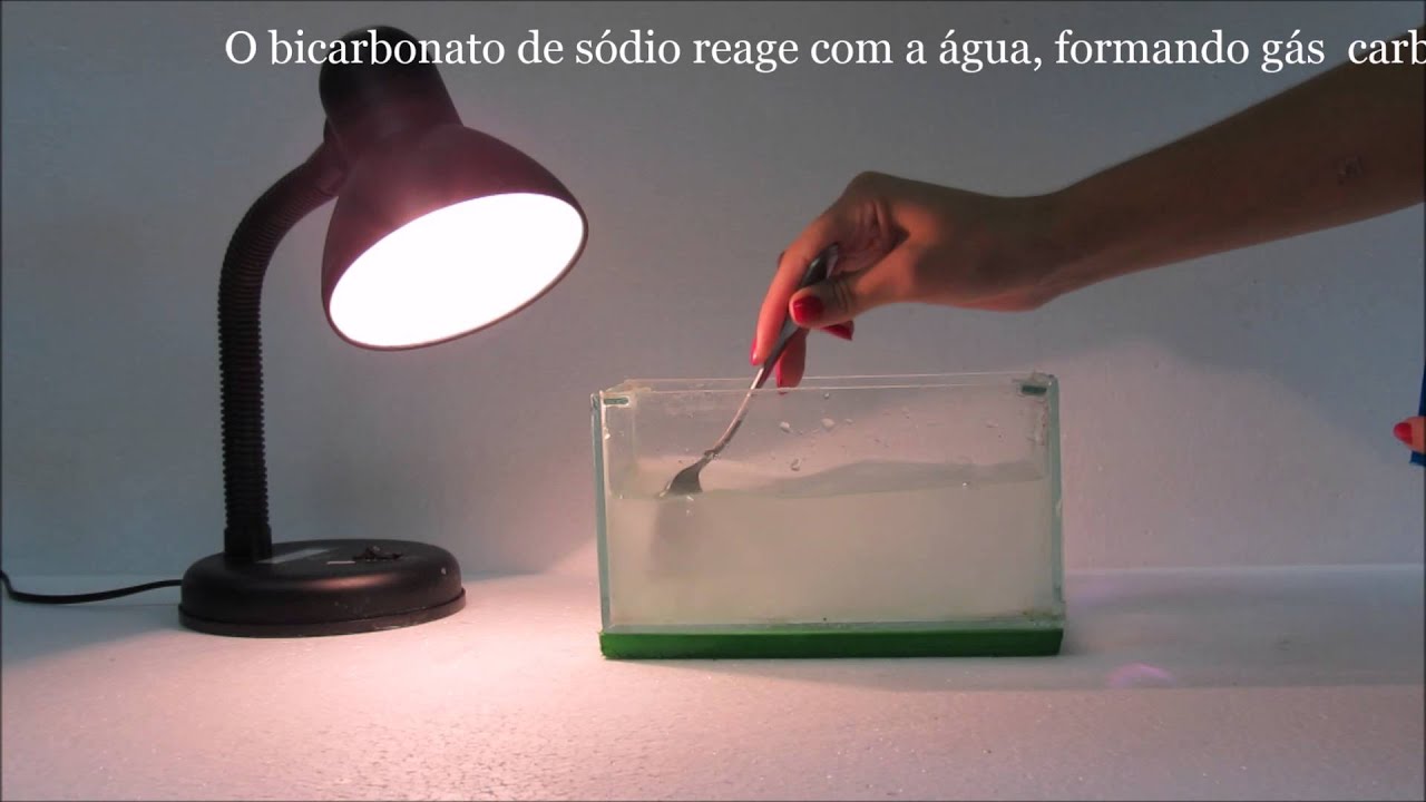 Plantas fazendo fotossíntese