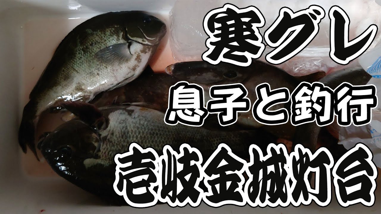 【壱岐寒グレ】　壱岐の金城灯台で息子と寒グレ釣行　フカセ釣り