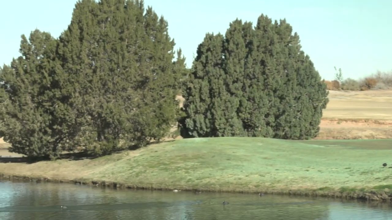 Sequence 08_YouTube_5