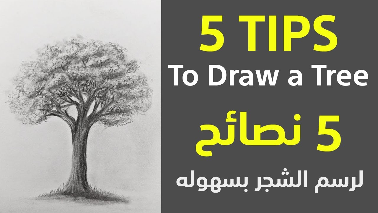 خمس قواعد ذهبية هتخليك  ترسم شجرة وانت مغمض