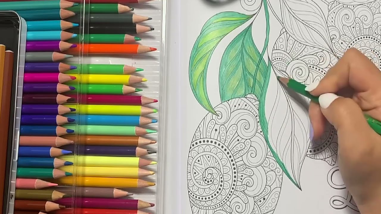 【ASMR】 1hour 🎨 Coloring with colored pencils | 色鉛筆でぬりえ | 用彩色铅笔涂色 | No talking
