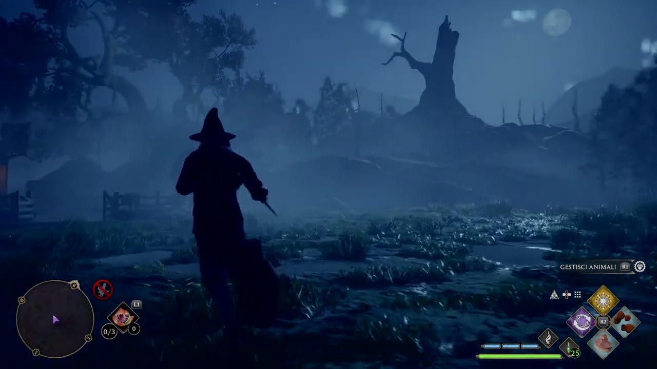Hogwarts Legacy #hogwartslegacy #hogwartslegacygameplay #hogwarts #playstation4 #playstation