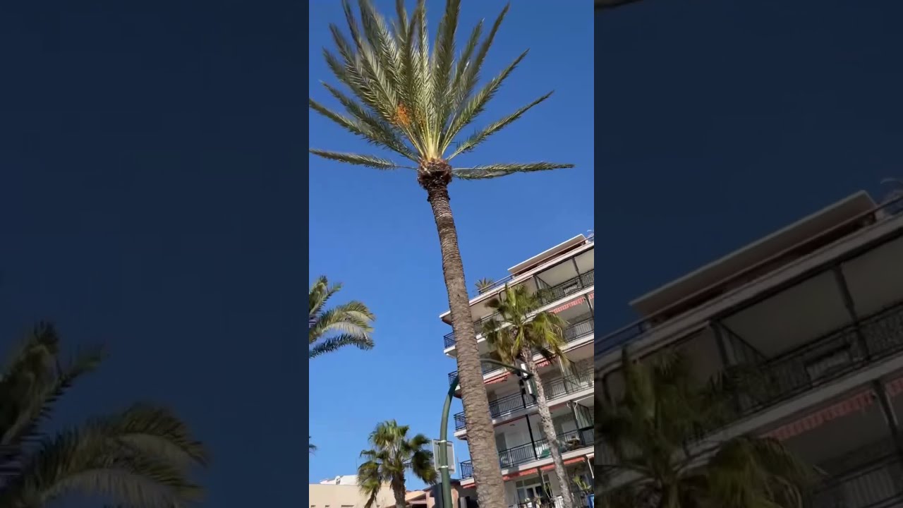 САЛОУ. 🌴Пляж зимой. 2022 Испания.