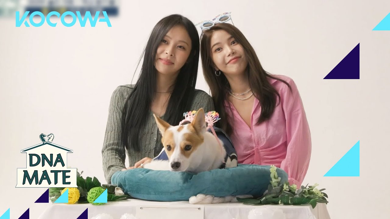 Solar those her dog a party... l DNA Mate Ep 38 [ENG SUB]