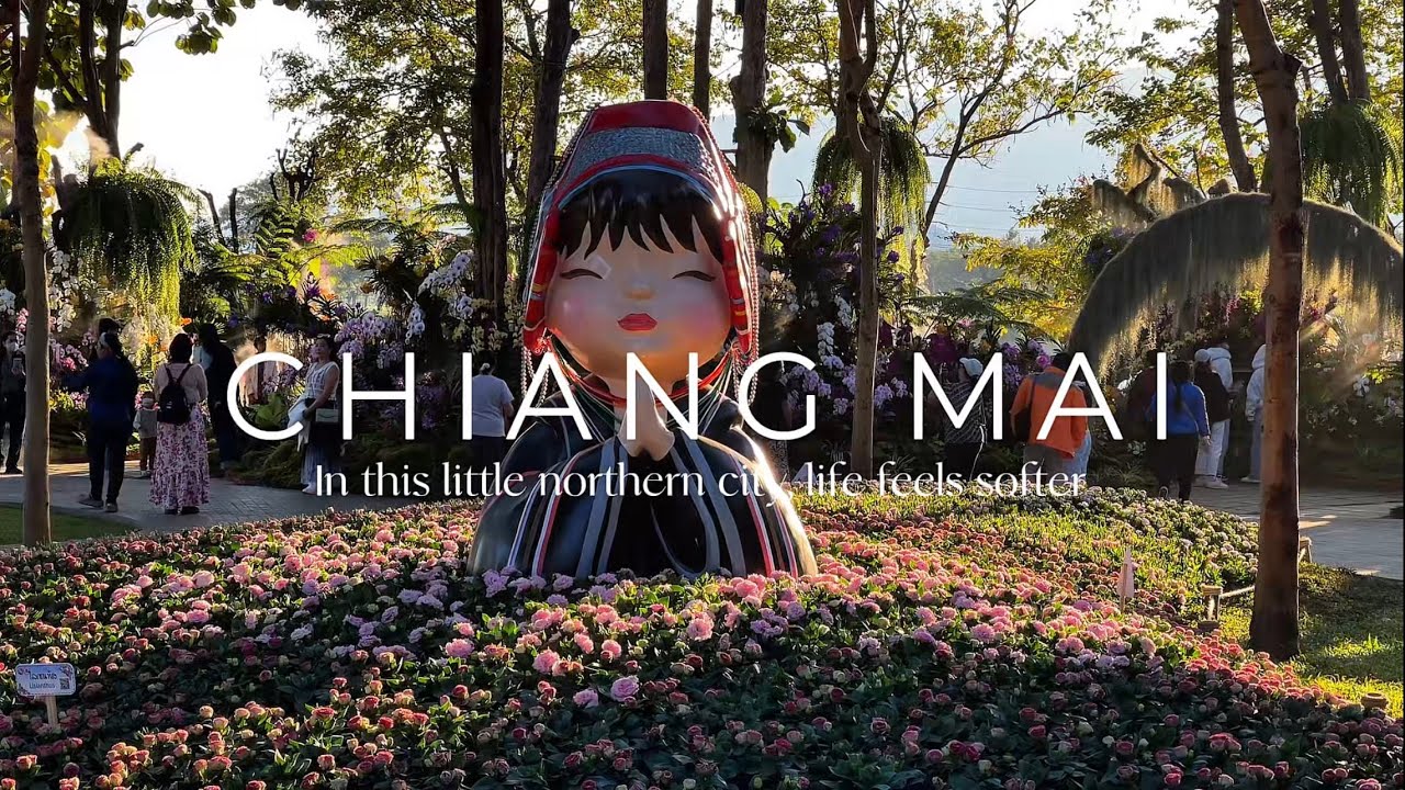 Chiang Mai 2025 : When the Weather Turns Softly Cold — My November Chiang Mai Walk