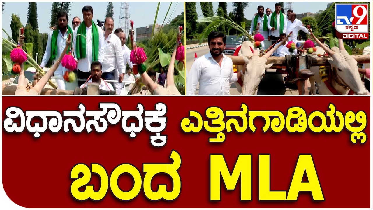 ಅಧಿವೇಶನಕ್ಕೆ Mandya MLA Ravi Ganiga ಕಬ್ಬು ಸಮೇತ ಎತ್ತಿನಗಾಡಿಯಲ್ಲಿ ಬಂದ್ರು  | #TV9B