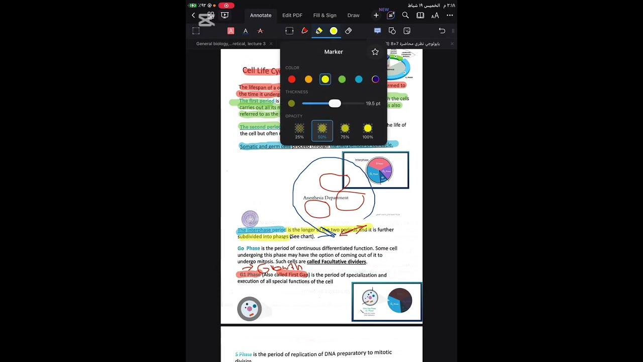 Biology cell division (mitosis division )part2