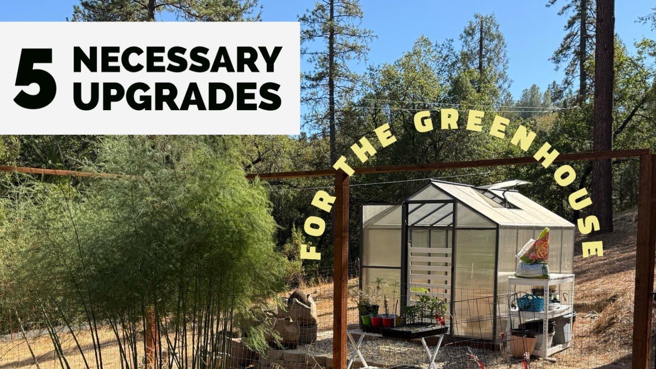 One-Year Review of Our Polycarbonate Prefab Greenhouse & 5 Essential Upgrades