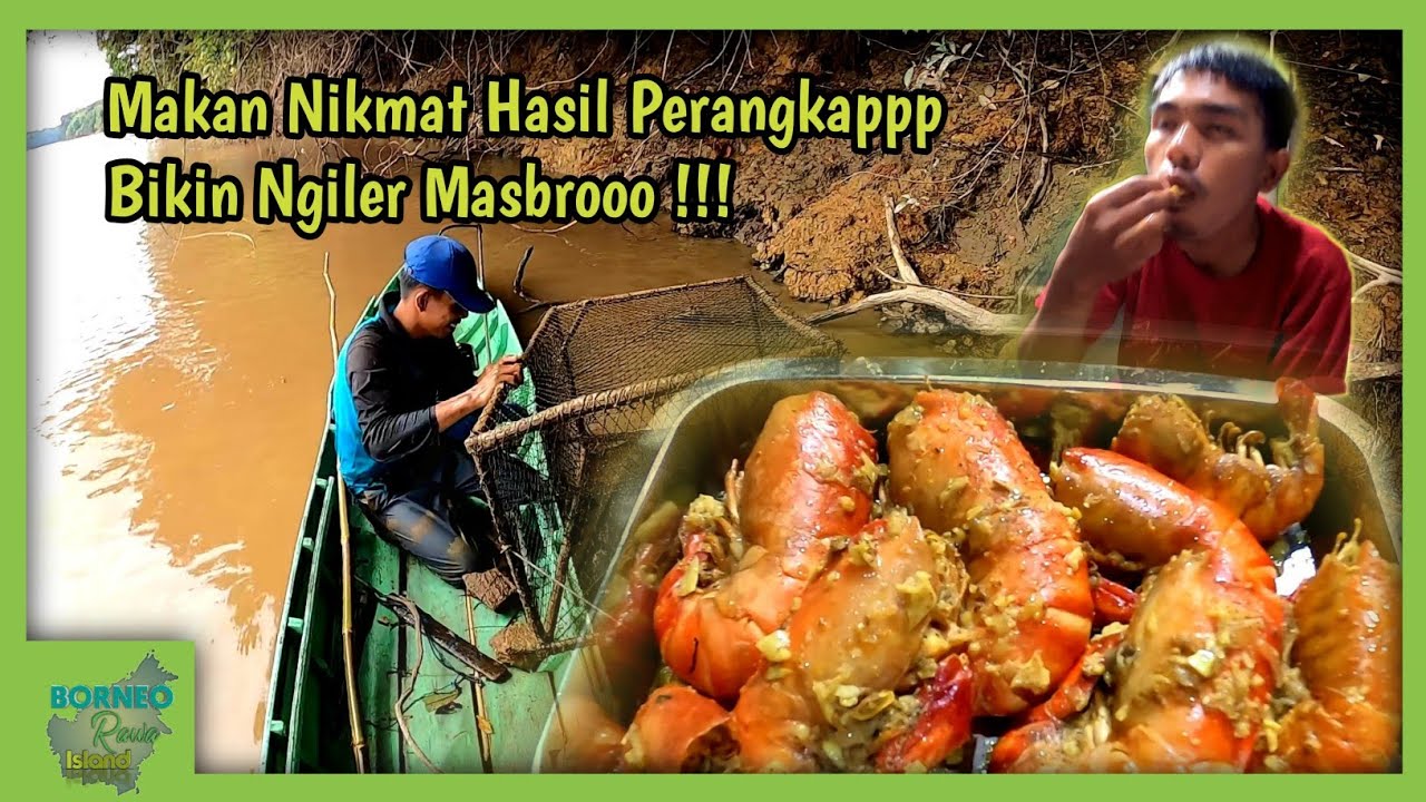 Ada Udang Dibalik Pohon Tumbang Extreme • Dan Hasil Perangkap Langsung DiMasak !!!