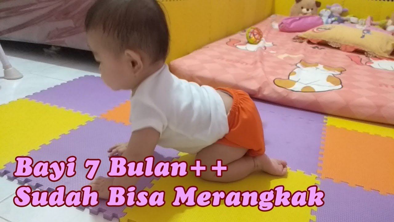 Bayi 7 Bulan++ Sudah Bisa Merangkak