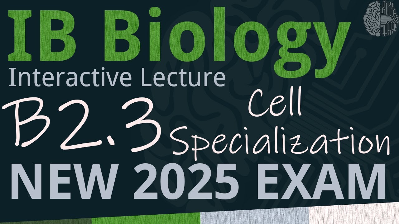 IB Biology B2.3 - Cell Specialization [SL/HL] - Interactive Lecture 2025-2033
