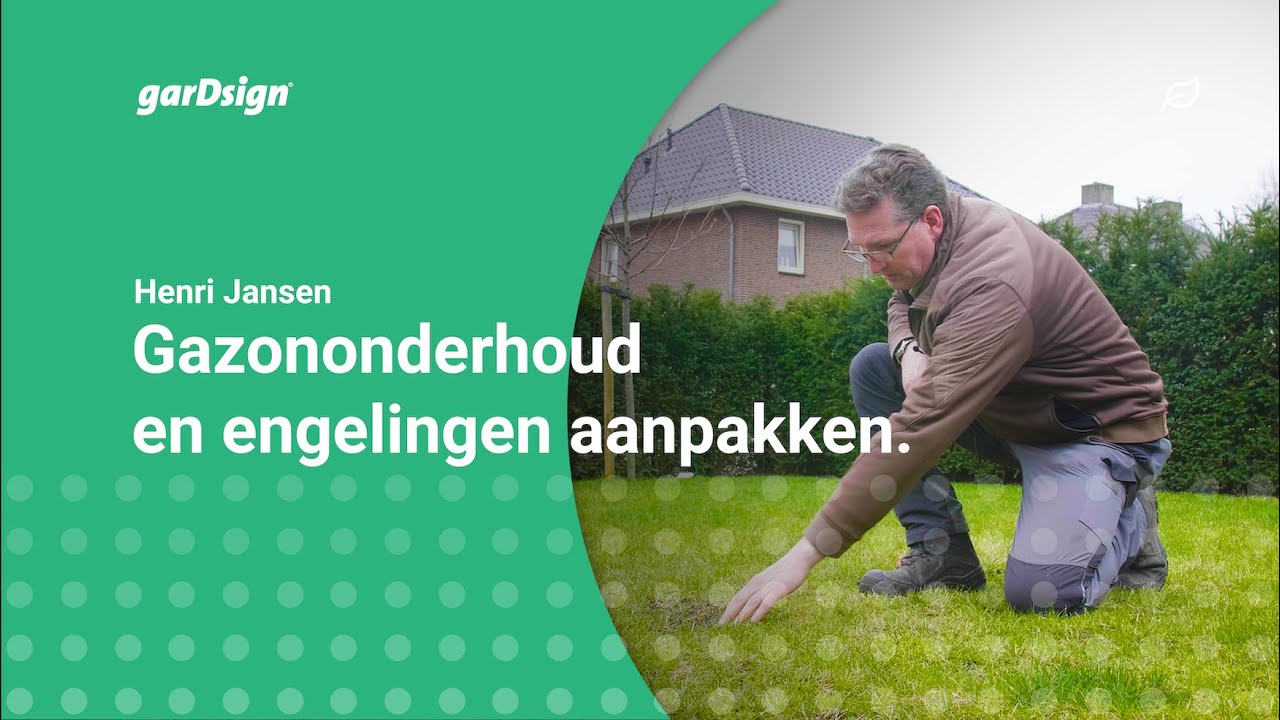 Gazononderhoud en engelingen aanpakken (gezond gazon)