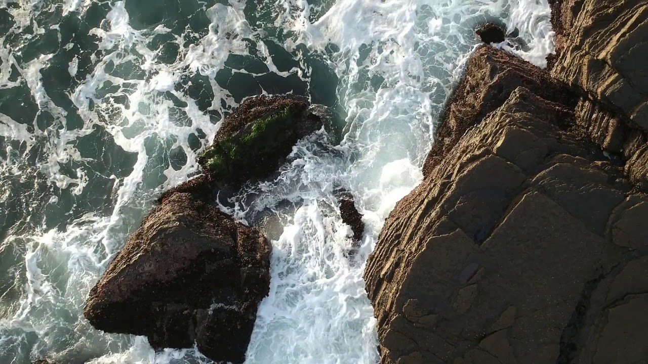Timber Cove