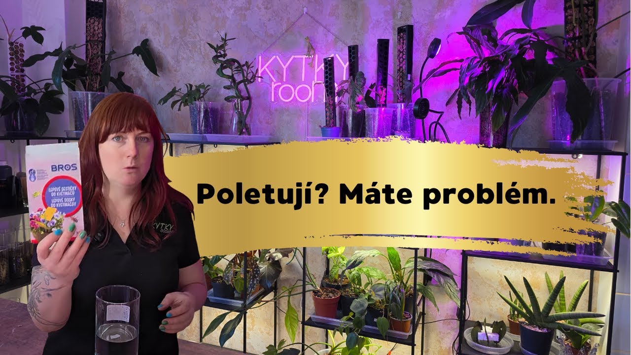192 Jak na smutnice v pokojovkách??
