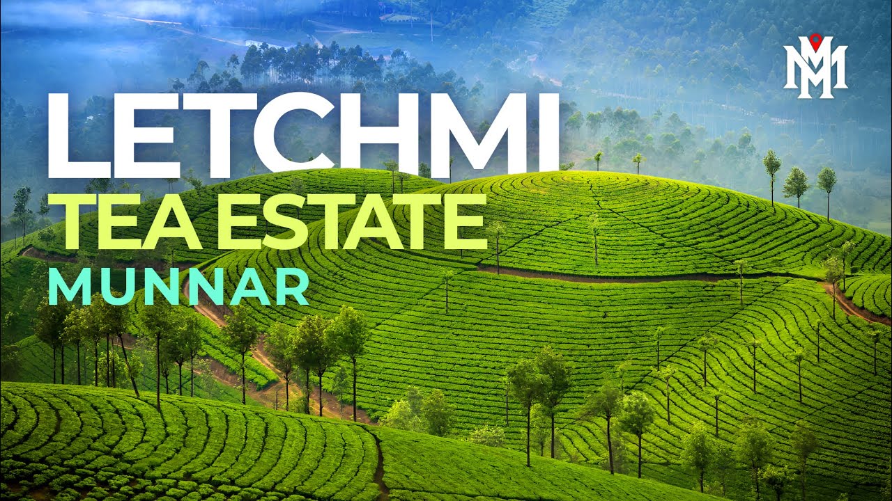 Letchmi Tea Estate | English Travel Video | Munnar Travel Video | Travelogue | Kerala Travel Videos