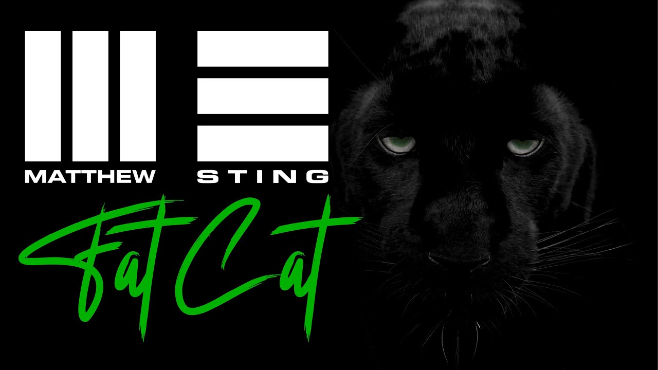 MATTHEW STING - 