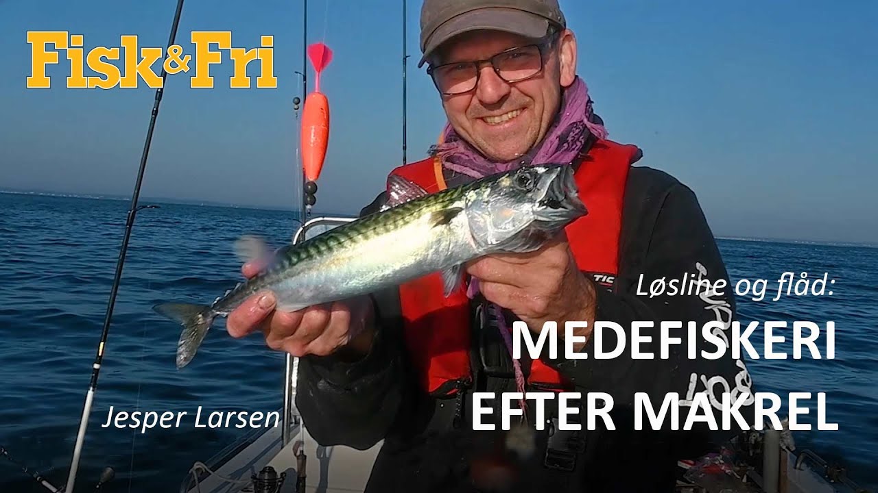 MEDEFISKERI EFTER MAKREL MED LØSLINE OG FLÅD