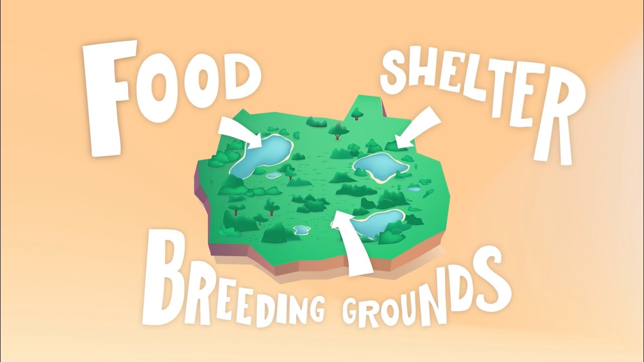 WWF - WildLife Corridors