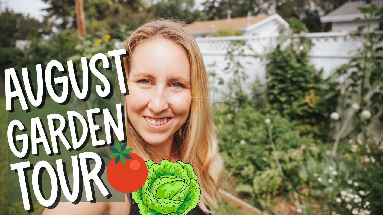 AUGUST URBAN HOMESTEAD TOUR 2022 / Our Veggie Garden mid-august