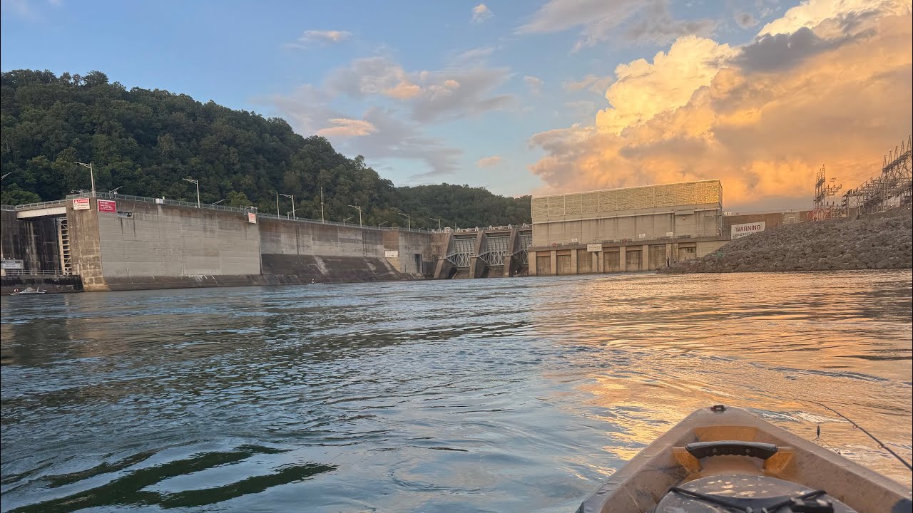 Tennessee dam Stripers!! Swimbaits and A-Rigs. Everything was Biting!! Multi species