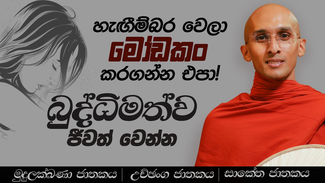 54. හැඟීම්බර වෙලා මෝඩකං කරගන්න එපා! බුද්ධිමත්ව ජීවත් වෙන්න | මුදුලක්ඛණා ජාතකය | 2023-06-26