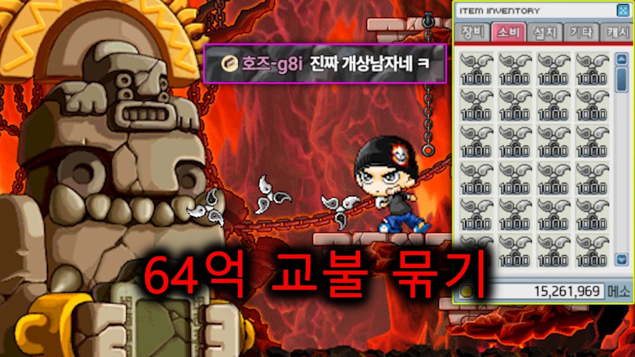 나로의 정관수술 (근데 64억임)