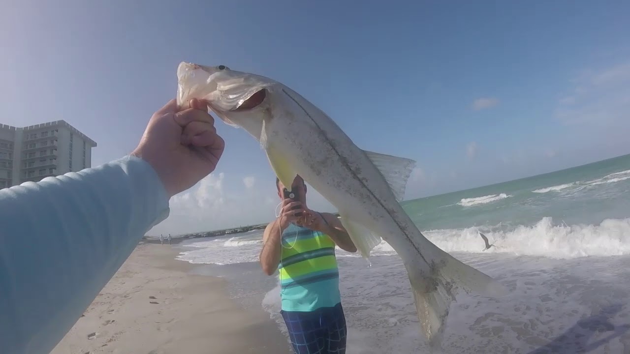 Light Tackle Snook Fishing from the Surf (Sarasota Florida- June 2019)