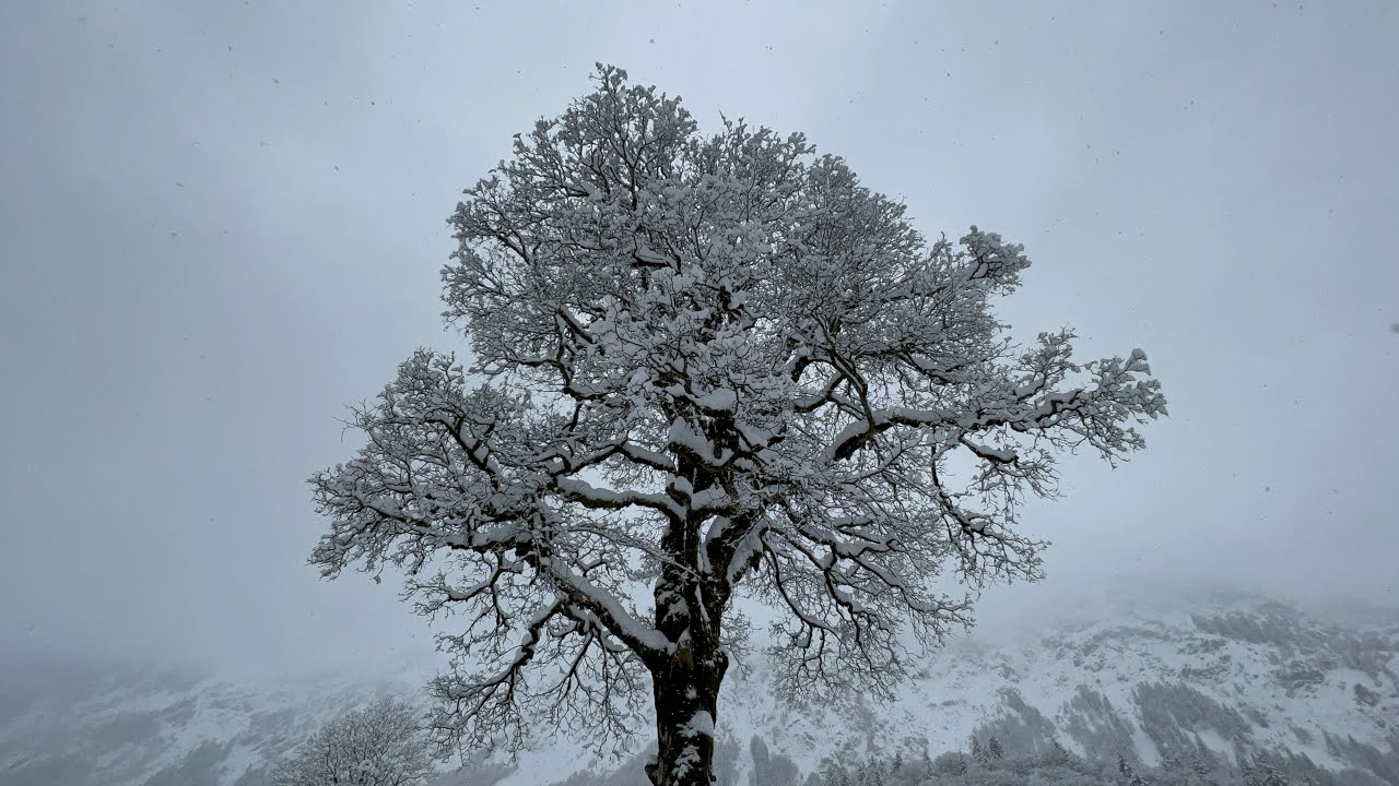 Oberstdorf - Winter im Trettachtal (11. Dezember 2021)