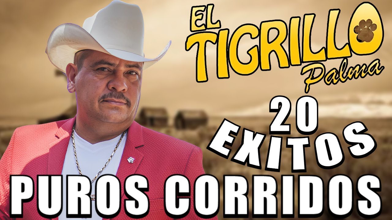 El Tigrillo Palma Mix 2026 - 30 Puros Corridos De Oro Para Tomar