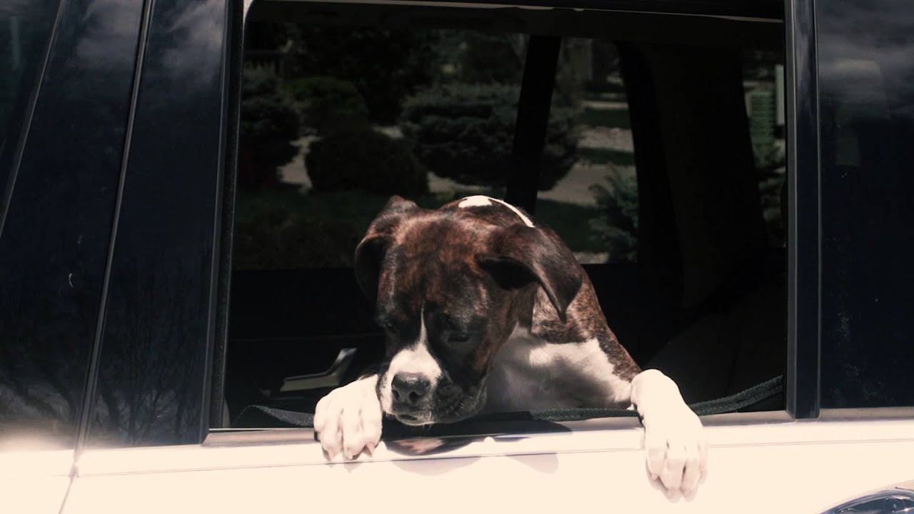 K&H Vehicle Door Protector
